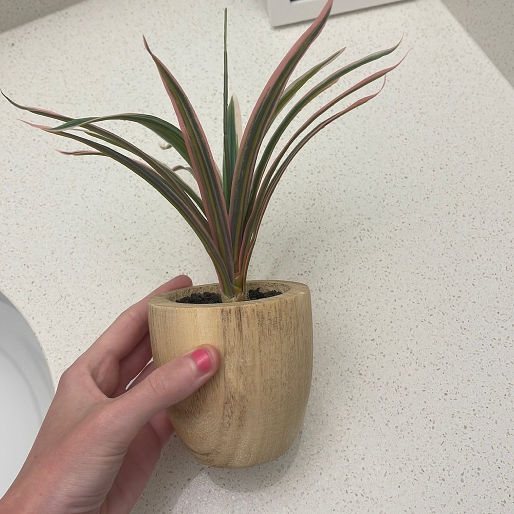 ADORABLE PLANT!!!!! Super classy & cute